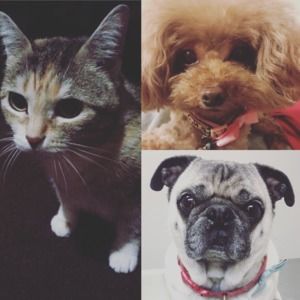 Meet your Posher, Mandy